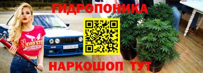 гашик Абинск