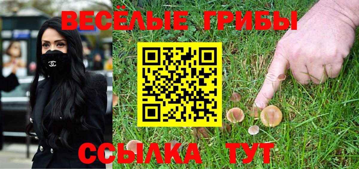 Галлюциногенные грибы MAGIC MUSHROOMS Алатырь
