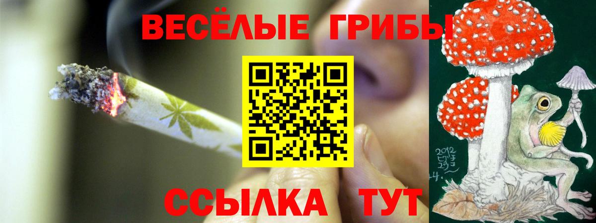 даркнет сайт  Псилоцибиновые грибы мицелий  Вход с VPN  Алатырь 